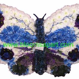 fwthumbButterfly Blue - DSC09234.jpg
